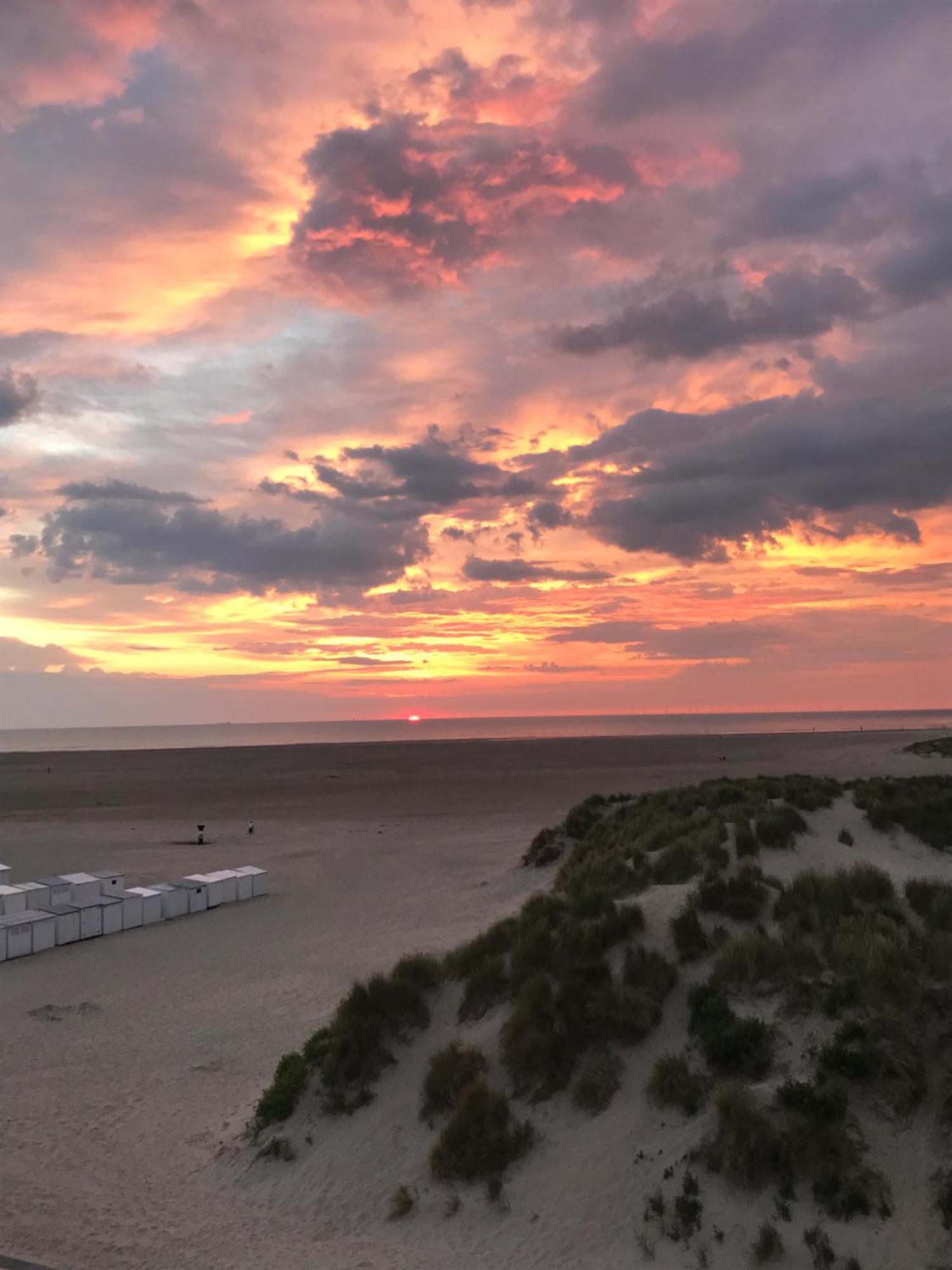 Apartamento Dune Du Palace *